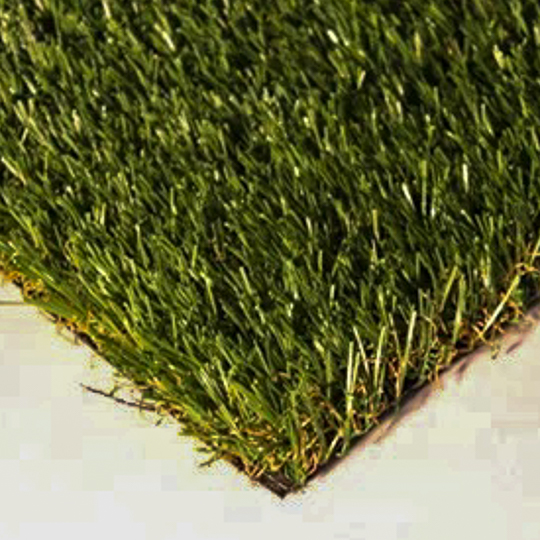 Kent Fringe Grass